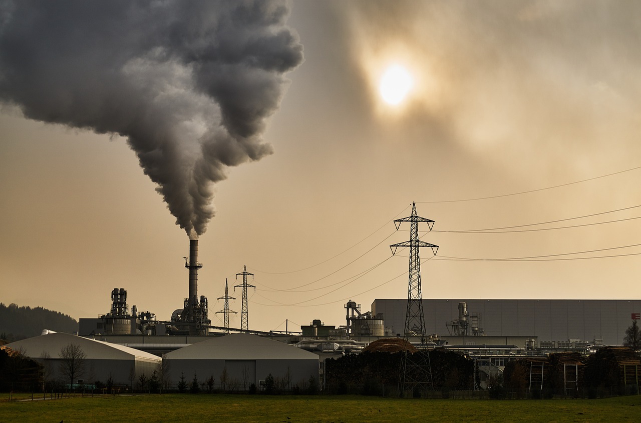 The Environmental Impact of Single-Use Masks and Gloves